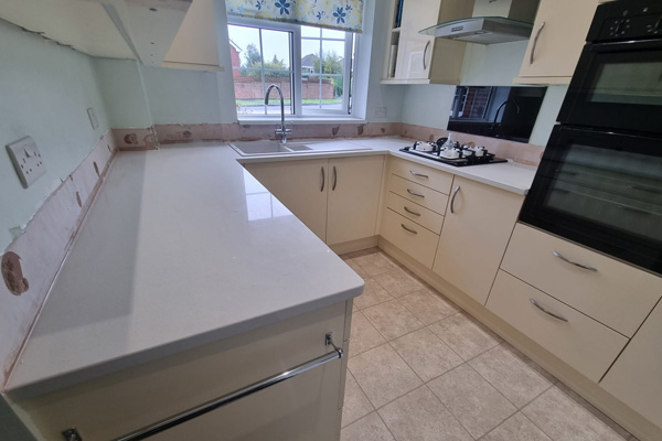 Same day transformation